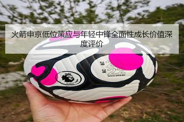 火箭申京低位策应与年轻中锋全面性成长价值深度评价