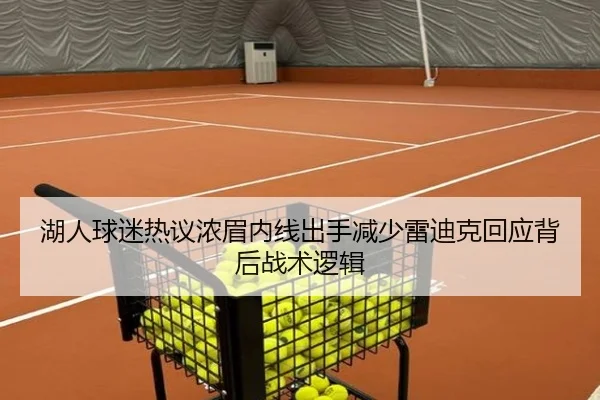 湖人球迷热议浓眉内线出手减少雷迪克回应背后战术逻辑